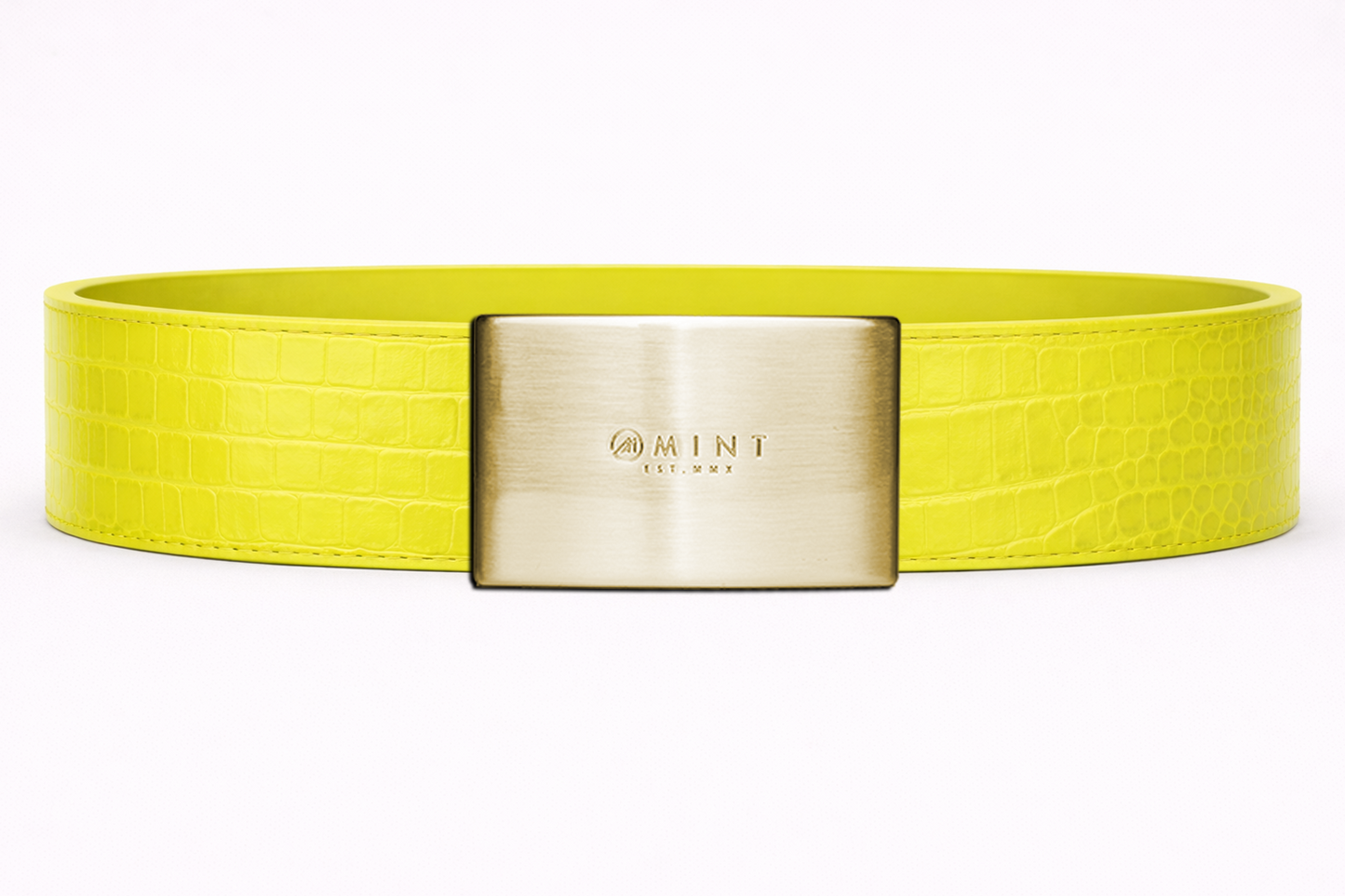 Crocodile Belt Collection 2
