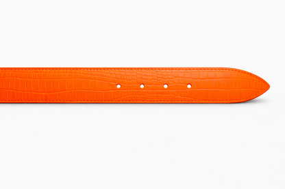 Crocodile Belt Collection 2