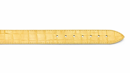Crocodile Belt