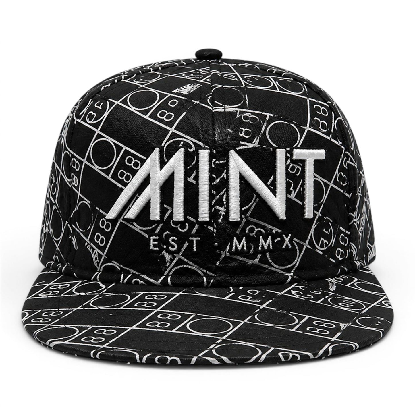 6 Panel Snap back Hat Scale Cap